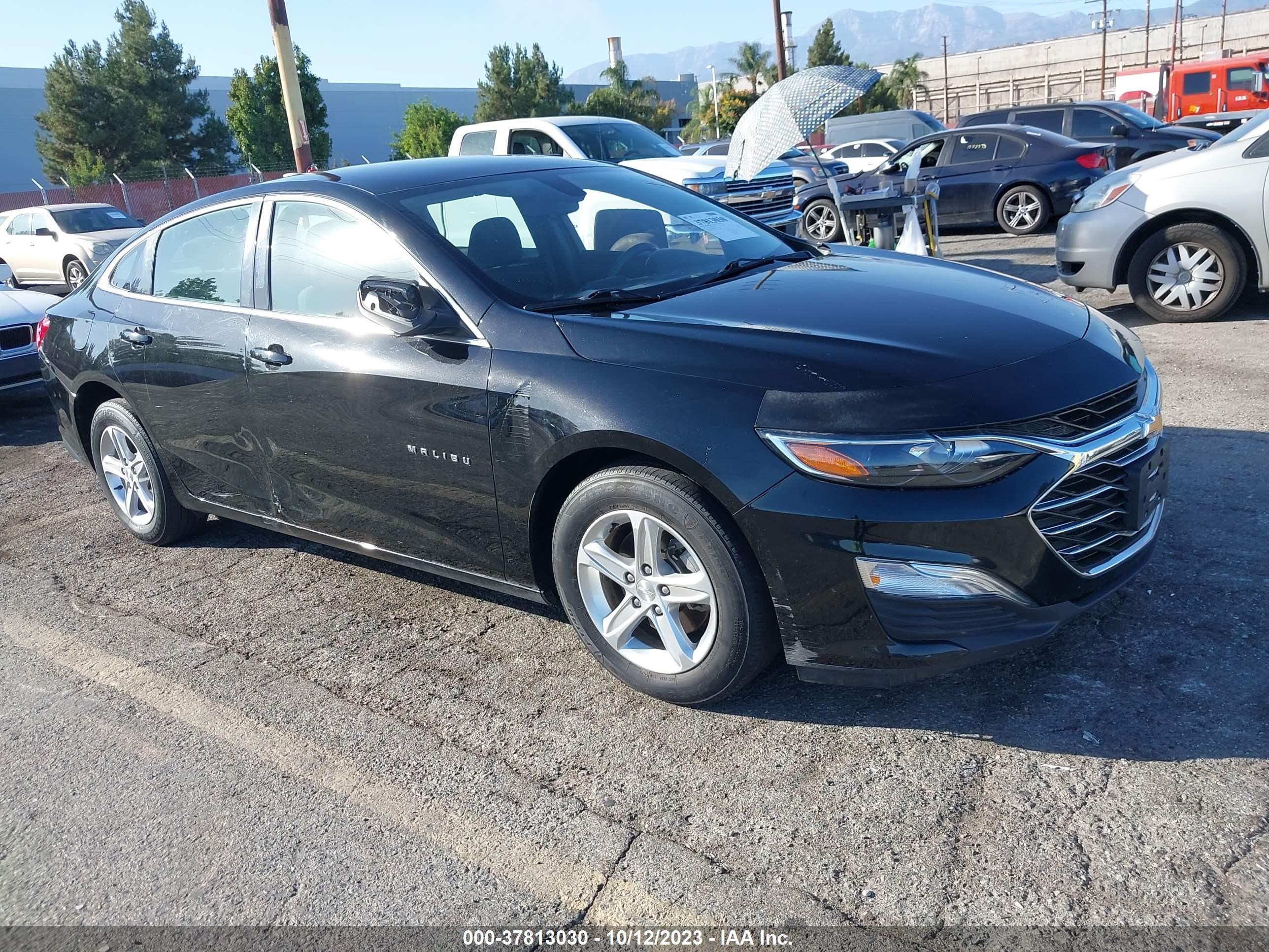 CHEVROLET MALIBU 2019 1g1zb5st8kf205807