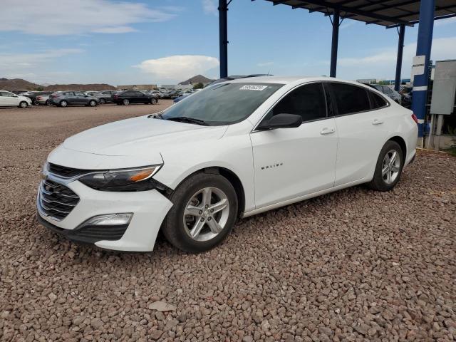 CHEVROLET MALIBU LS 2019 1g1zb5st8kf226527