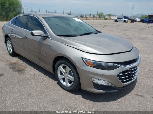 CHEVROLET MALIBU 2024 1g1zb5st8rf149104