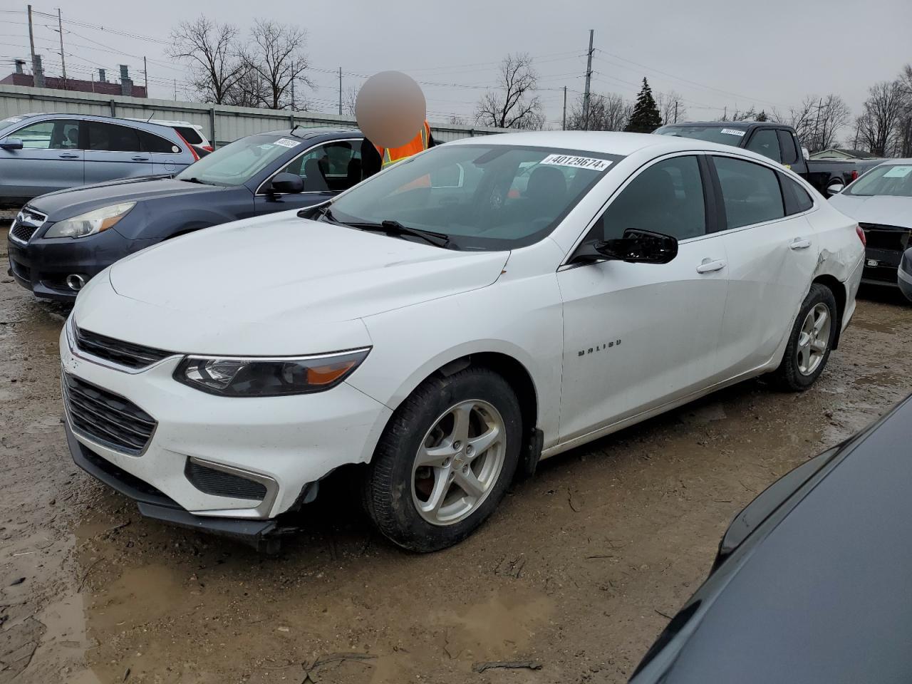 CHEVROLET MALIBU 2018 1g1zb5st9jf271619