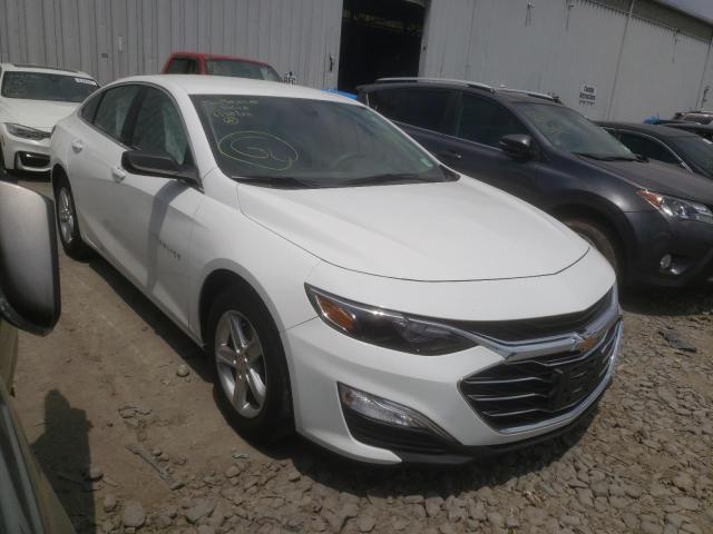 CHEVROLET MALIBU LS 2019 1g1zb5st9kf123956