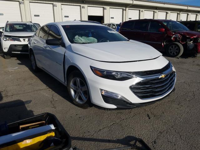 CHEVROLET MALIBU LS 2019 1g1zb5st9kf175670