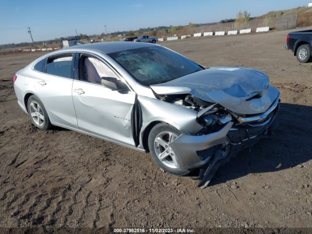 CHEVROLET MALIBU 2019 1g1zb5st9kf185311