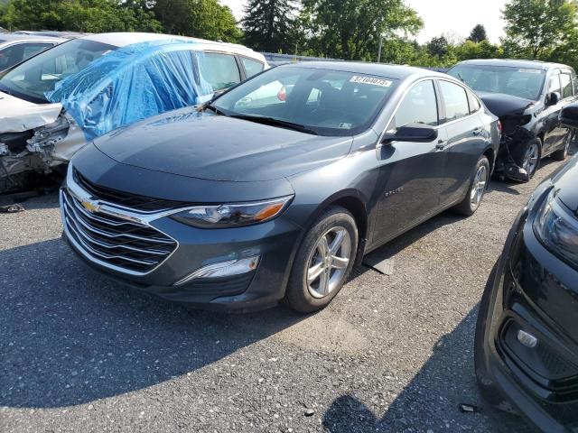 CHEVROLET MALIBU LS 2019 1g1zb5st9kf186569