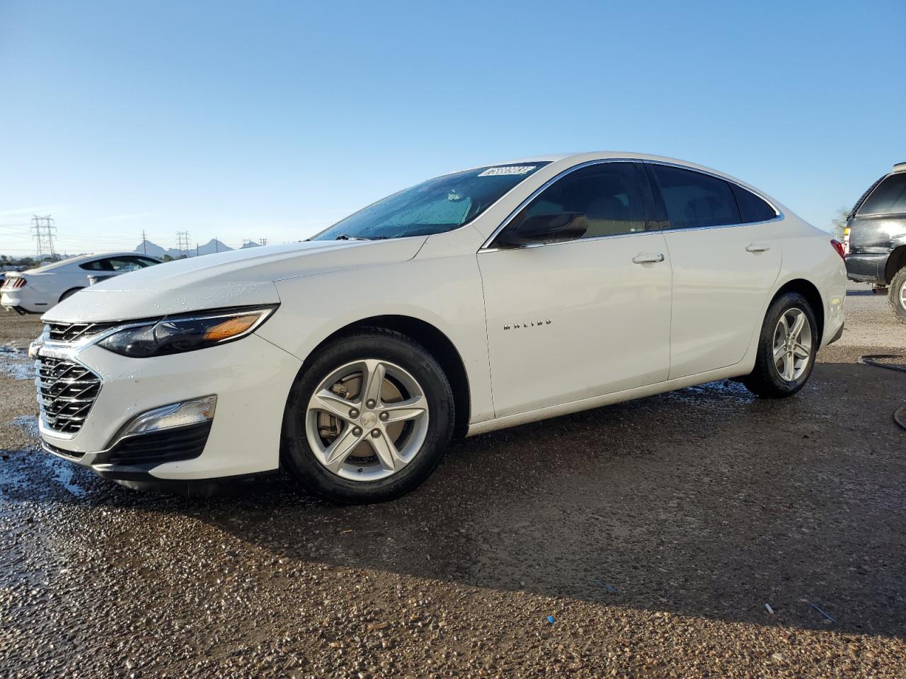 CHEVROLET MALIBU 2019 1g1zb5st9kf222311