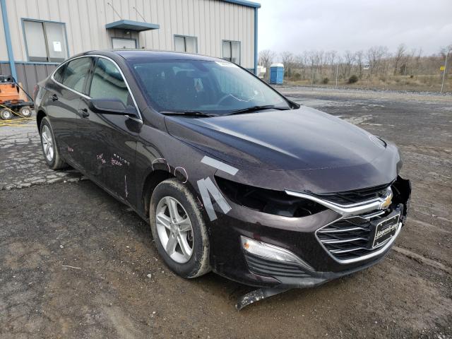 CHEVROLET MALIBU LS 2020 1g1zb5st9lf097408