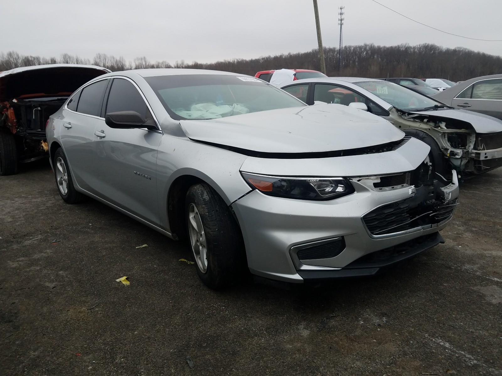 CHEVROLET MALIBU LS 2016 1g1zb5stxgf215732