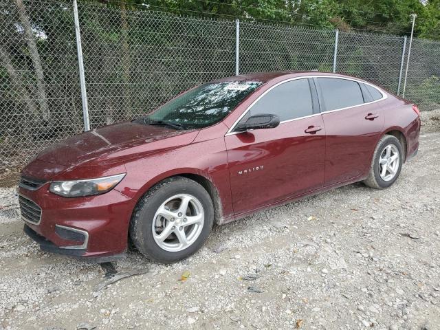 CHEVROLET MALIBU LS 2016 1g1zb5stxgf312221