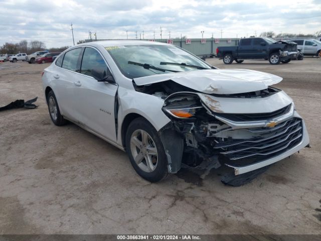 CHEVROLET MALIBU 2019 1g1zb5stxkf187455