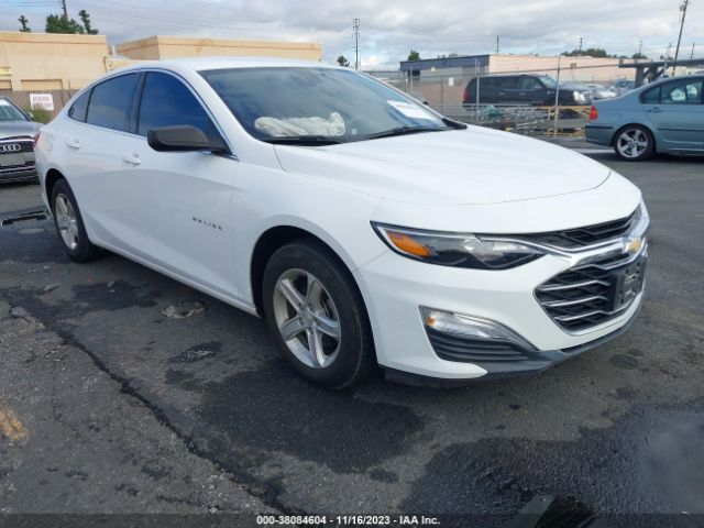 CHEVROLET MALIBU 2019 1g1zb5stxkf205307