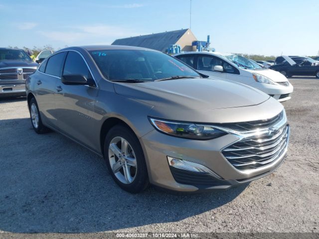 CHEVROLET MALIBU 2022 1g1zb5stxnf189470