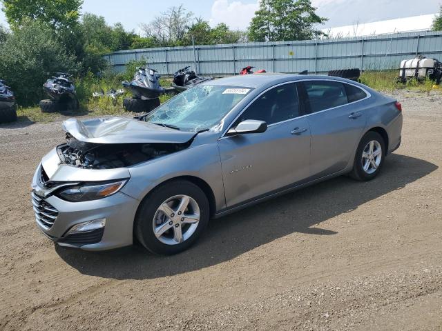 CHEVROLET MALIBU LS 2024 1g1zb5stxrf143594