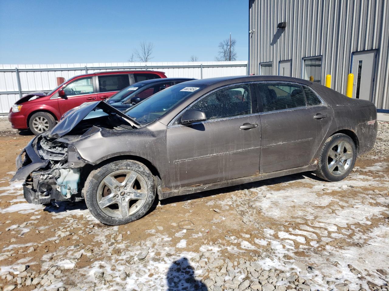 CHEVROLET MALIBU 2010 1g1zc5e00af170905