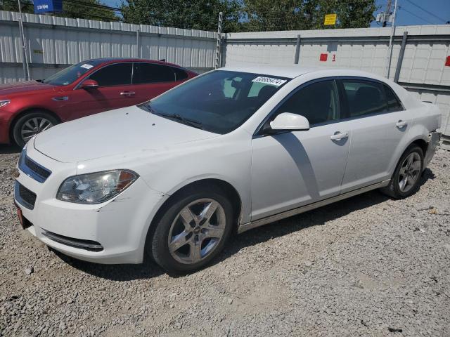 CHEVROLET MALIBU 1LT 2010 1g1zc5e00af187056