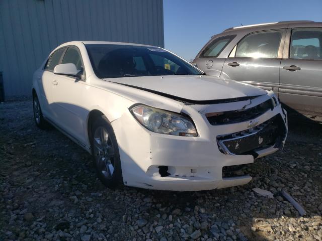 CHEVROLET MALIBU 1LT 2010 1g1zc5e00af304666