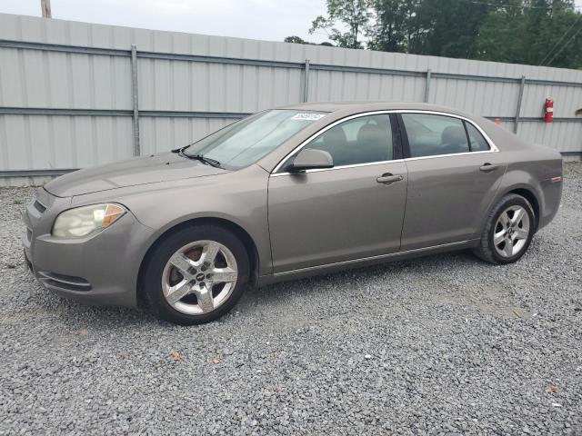 CHEVROLET MALIBU 2010 1g1zc5e01af199054