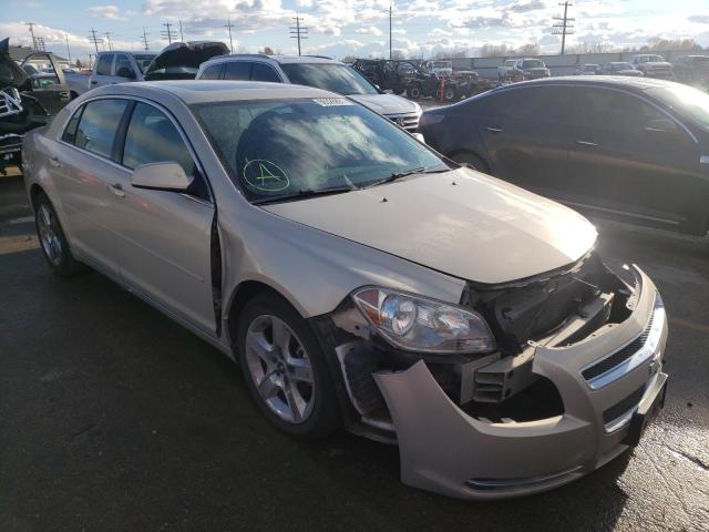 CHEVROLET MALIBU 1LT 2010 1g1zc5e01af203118