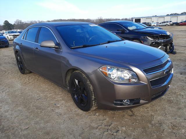 CHEVROLET MALIBU 1LT 2010 1g1zc5e01af220548