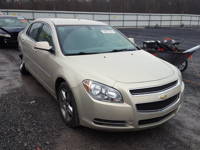 CHEVROLET MALIBU 1LT 2010 1g1zc5e01af253484