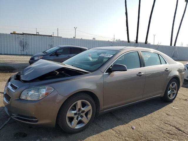 CHEVROLET MALIBU 2010 1g1zc5e01af305809