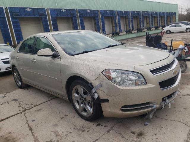 CHEVROLET MALIBU 1LT 2010 1g1zc5e02af303745