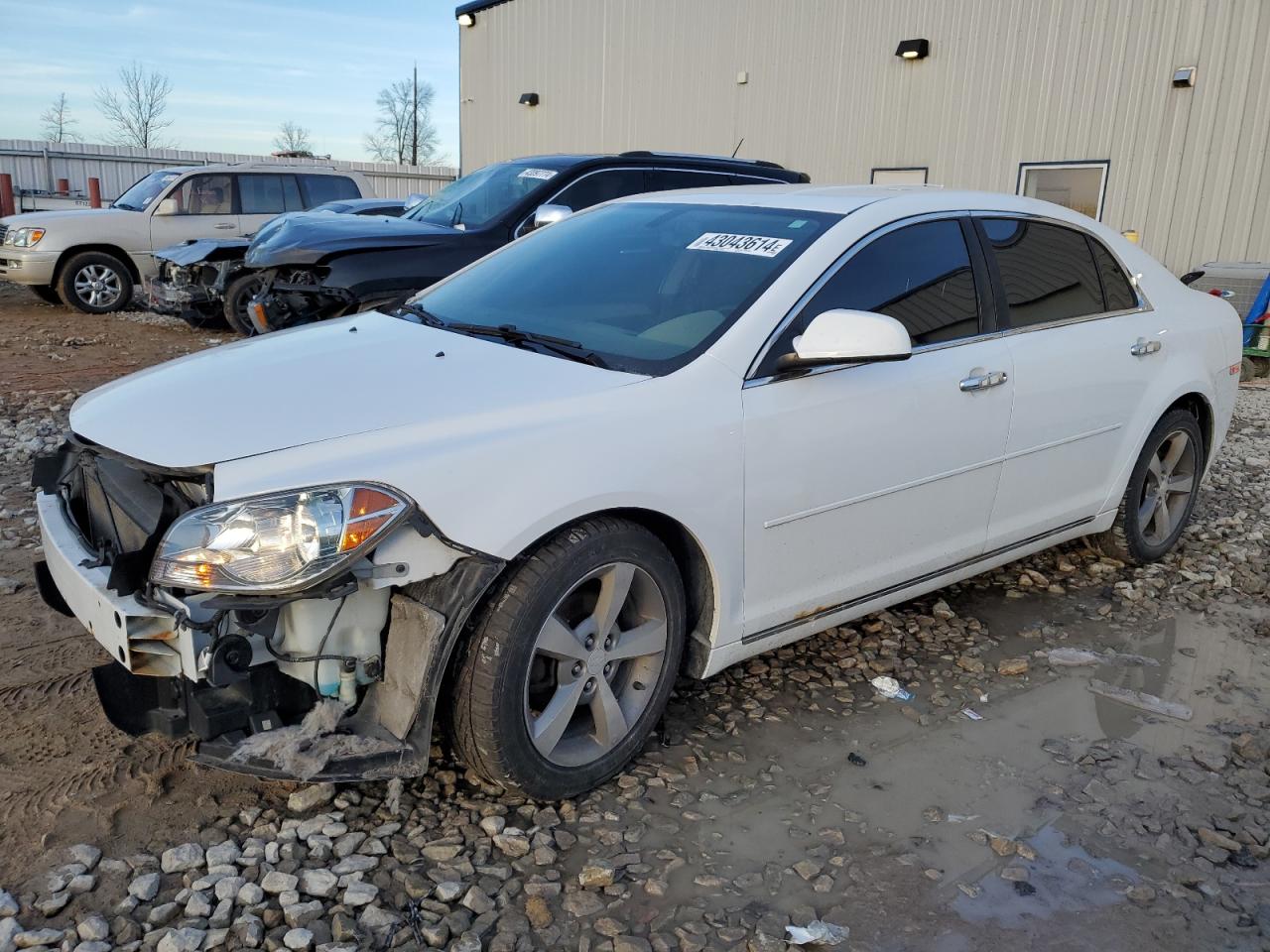 CHEVROLET MALIBU 2012 1g1zc5e03cf397623