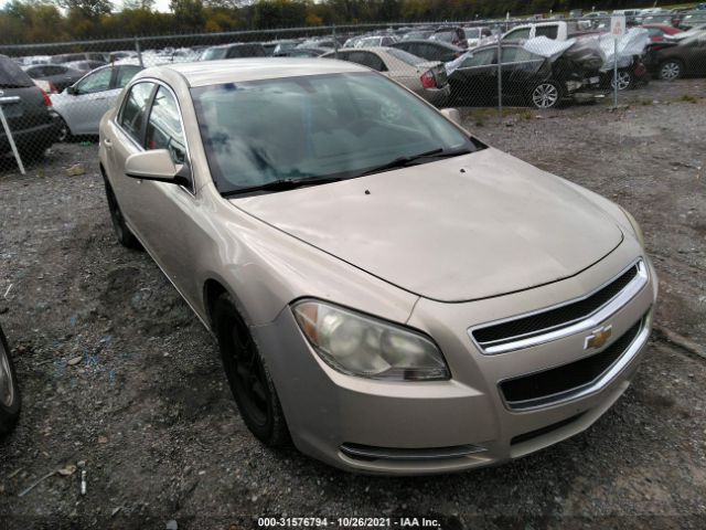 CHEVROLET MALIBU 2010 1g1zc5e05af185884