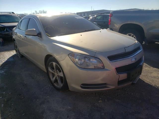 CHEVROLET MALIBU 1LT 2010 1g1zc5e06af181181