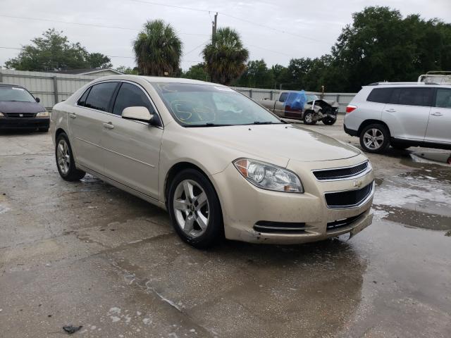 CHEVROLET MALIBU 1LT 2010 1g1zc5e06af303554