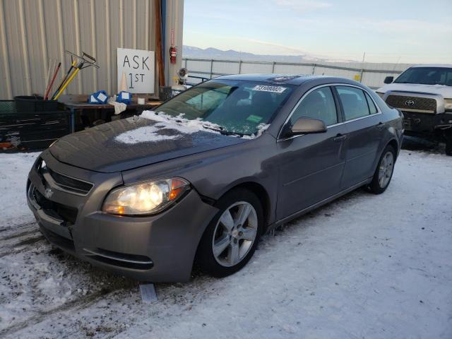 CHEVROLET MALIBU 1LT 2010 1g1zc5e07af216729