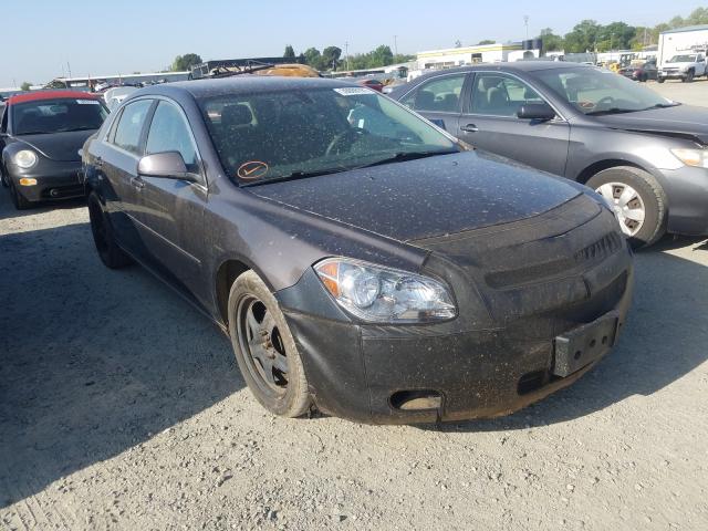 CHEVROLET MALIBU 1LT 2010 1g1zc5e07af304051