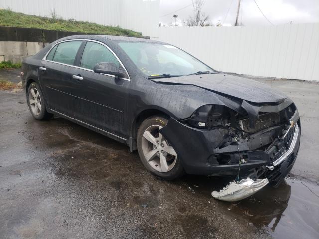 CHEVROLET MALIBU 1LT 2019 1g1zc5e08cf176521