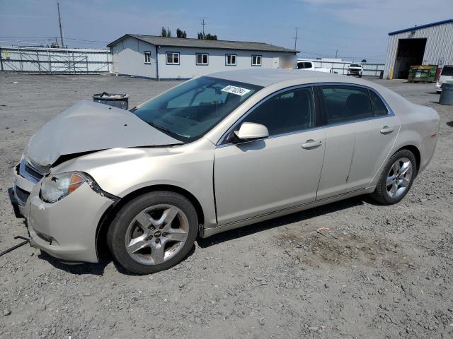 CHEVROLET MALIBU 1LT 2010 1g1zc5e09af179182