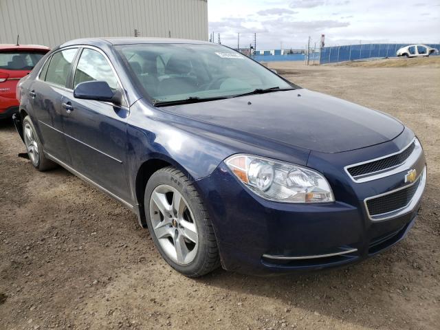 CHEVROLET MALIBU 1LT 2010 1g1zc5e09af213881