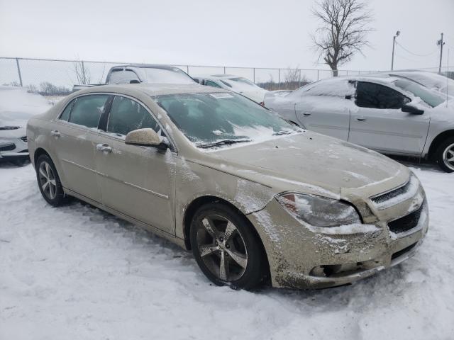 CHEVROLET MALIBU 1LT 0 1g1zc5e09cf144483