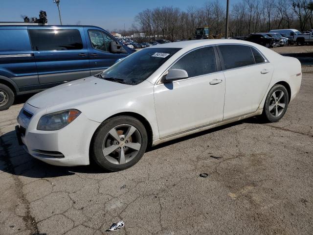 CHEVROLET MALIBU 1LT 2011 1g1zc5e10bf159929