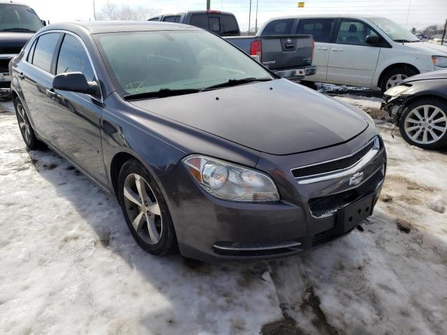 CHEVROLET MALIBU 1LT 2011 1g1zc5e10bf211625