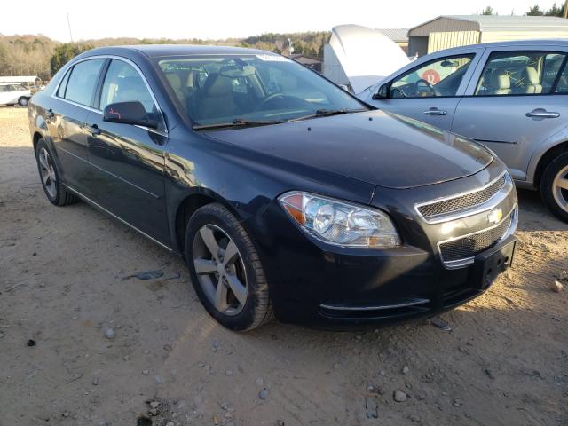 CHEVROLET MALIBU 1LT 2011 1g1zc5e10bf259528