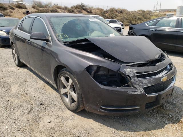 CHEVROLET MALIBU 1LT 2011 1g1zc5e10bf281187