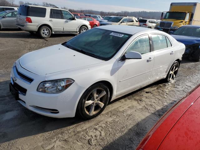 CHEVROLET MALIBU 1LT 2011 1g1zc5e10bf281996