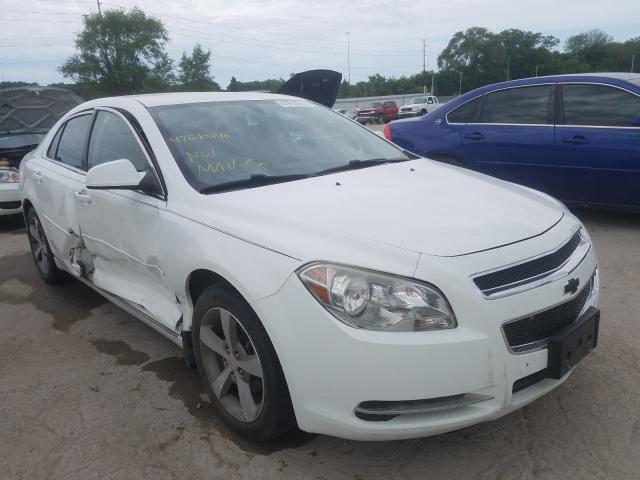 CHEVROLET MALIBU 1LT 2011 1g1zc5e10bf299527