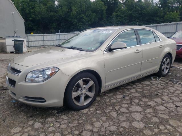 CHEVROLET MALIBU 1LT 2011 1g1zc5e10bf317900