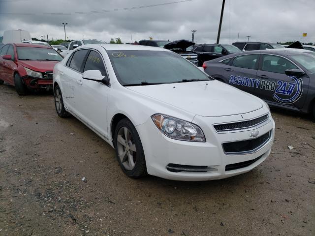 CHEVROLET MALIBU 1LT 2011 1g1zc5e10bf323440