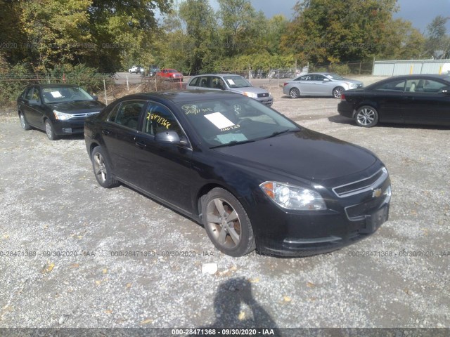 CHEVROLET MALIBU 2011 1g1zc5e10bf359404