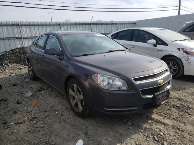 CHEVROLET MALIBU 2011 1g1zc5e11bf101229