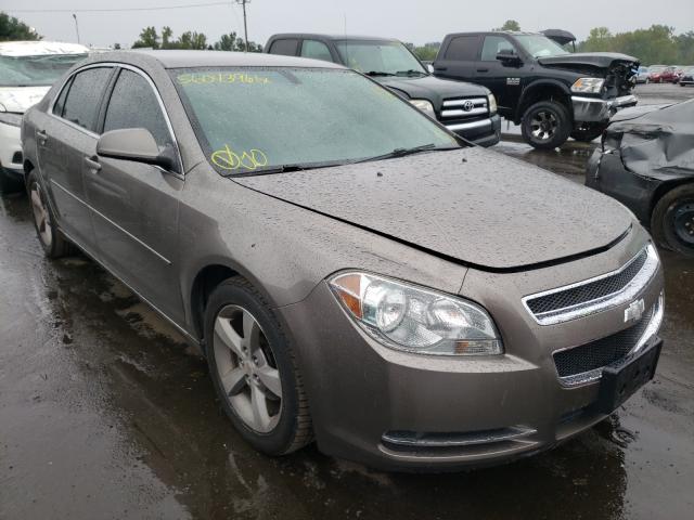 CHEVROLET MALIBU 1LT 2011 1g1zc5e11bf108794