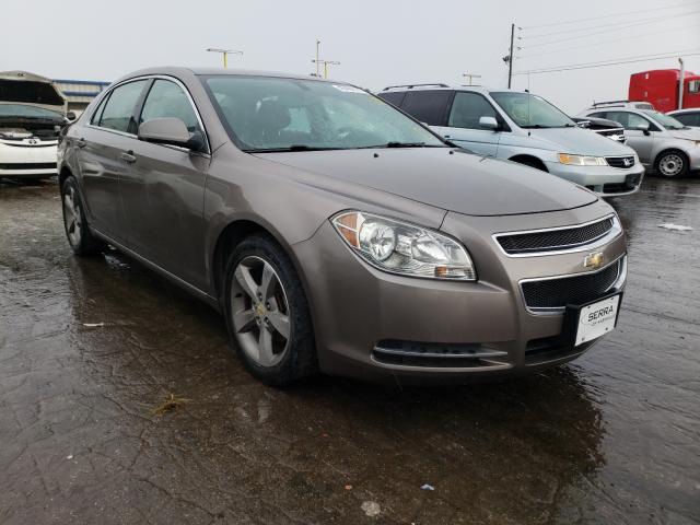 CHEVROLET MALIBU 1LT 2011 1g1zc5e11bf135770