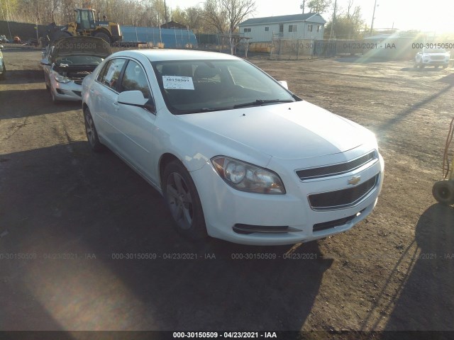 CHEVROLET MALIBU 2011 1g1zc5e11bf168686