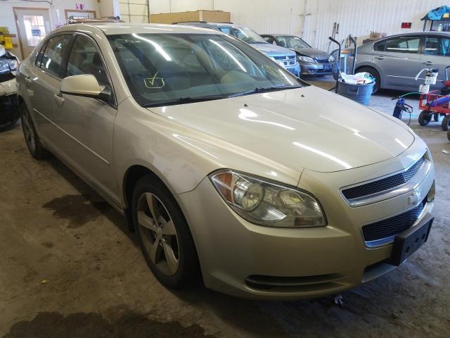 CHEVROLET MALIBU 1LT 2011 1g1zc5e11bf175024