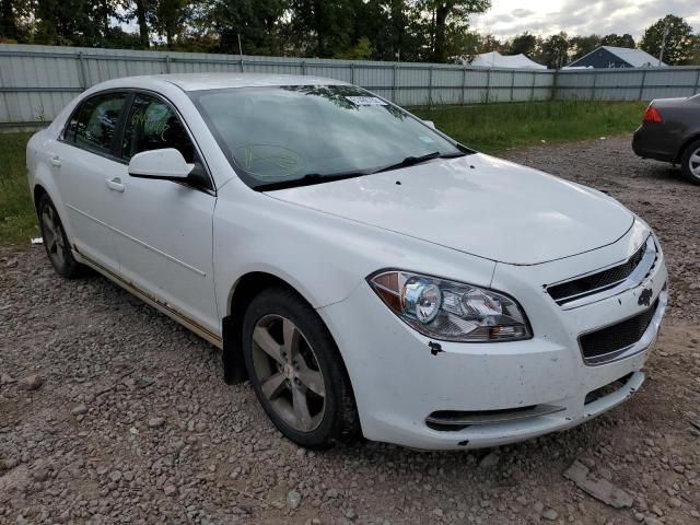 CHEVROLET MALIBU 1LT 2011 1g1zc5e11bf183706